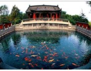 章丘今天天气