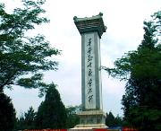 宁县天气预报10天