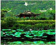 蔡甸今天天气