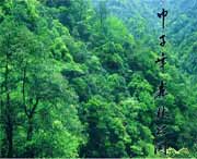 庆元天气预报30天